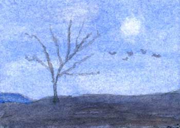 "Moon Light" by Jean Johnson, Madison WI - Watercolor